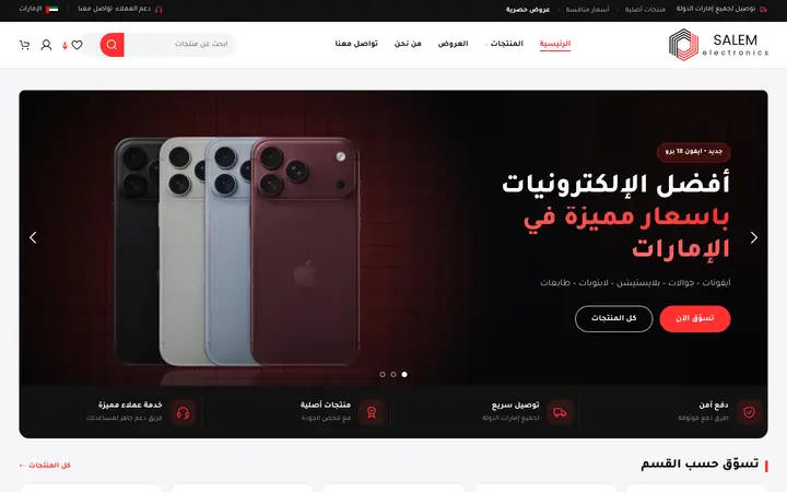 Salem Electronics website